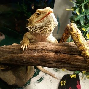 Meet your Posher, Michaela